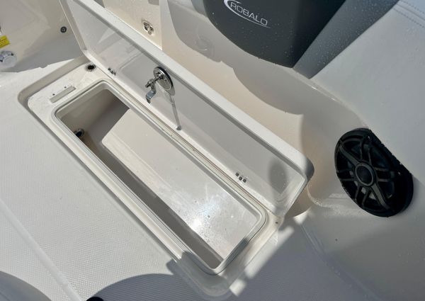 Robalo R250 image