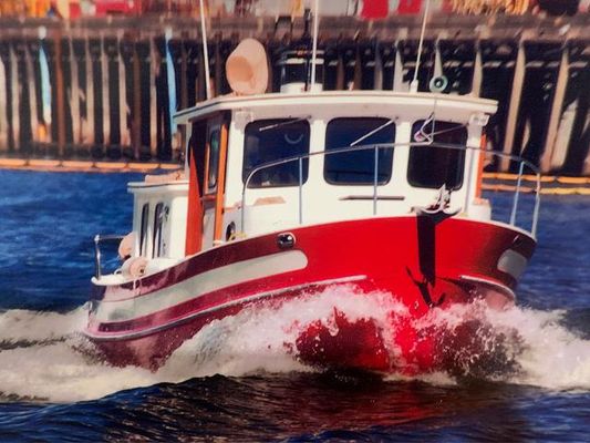 Nordic Tug 26 - main image