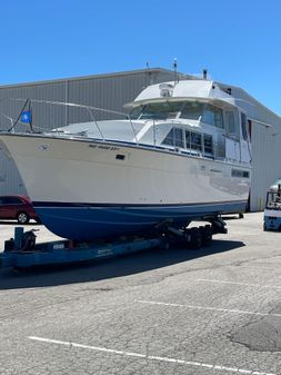 Bertram 42-MOTOR-YACHT image