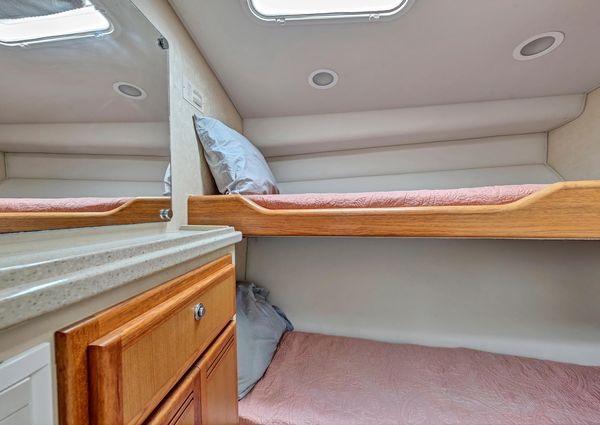 Cabo 45 Express image