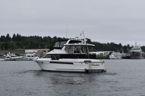 Ocean-alexander 440-CPMY image