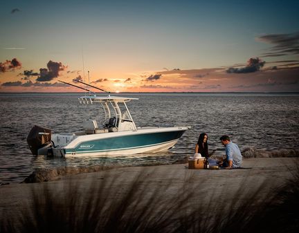 Boston-whaler 230-OUTRAGE image