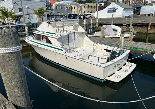 Bertram 28 Flybridge image