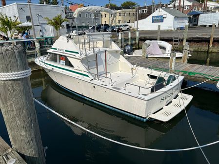 Bertram 28 Flybridge image