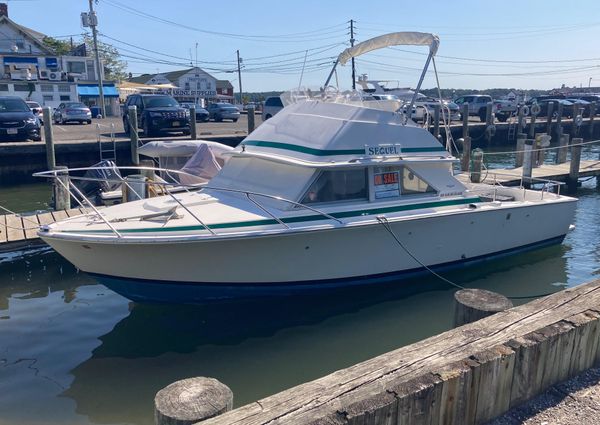 Bertram 28 Flybridge image