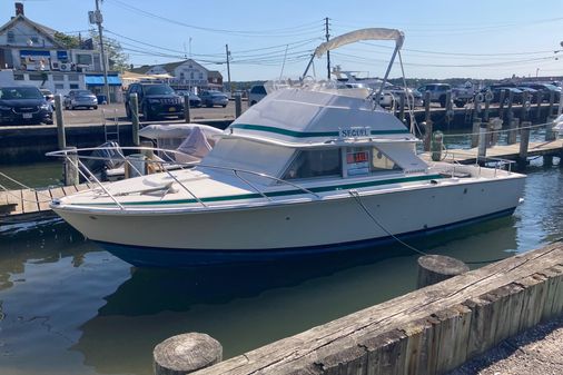 Bertram 28 Flybridge image