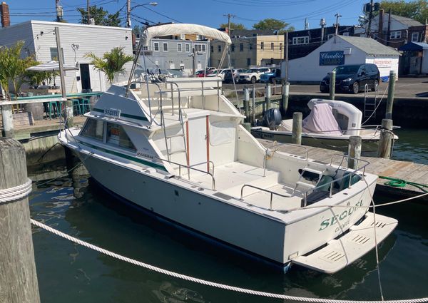 Bertram 28 Flybridge image