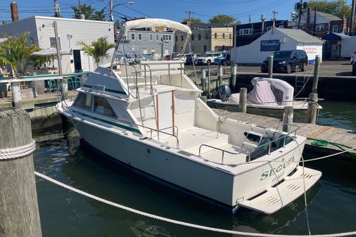 Bertram 28 Flybridge image