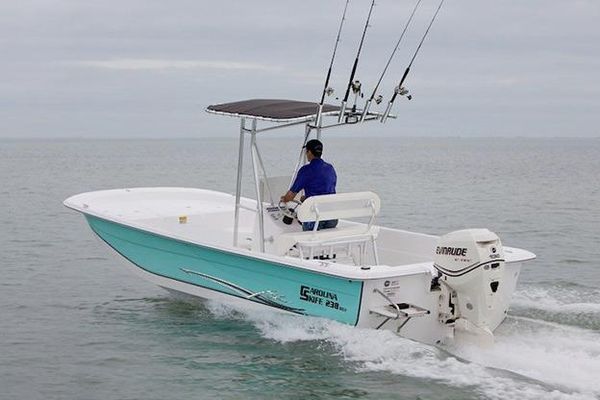 Carolina Skiff 238 DLV - main image