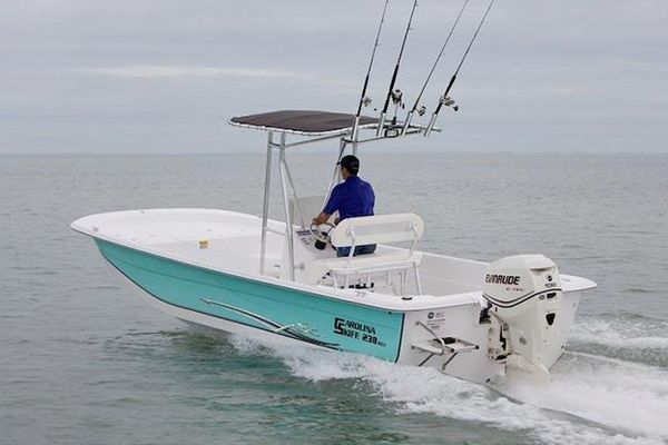 Carolina-skiff 238-DLV - main image