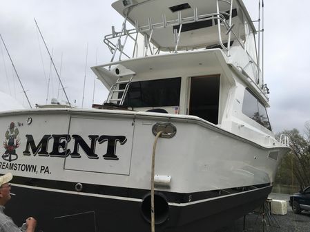 Viking 50 Convertible image