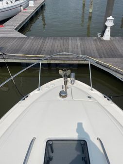 Sea Ray 320 Sundancer image