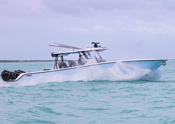 Invincible 46-CATAMARAN image