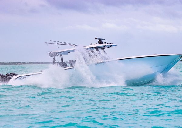 Invincible 46-CATAMARAN image