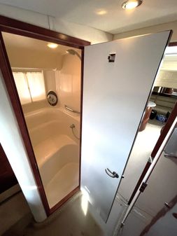 Sea Ray 44 Sundancer image