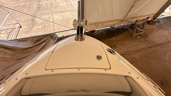 Sea Ray SLX 260 image