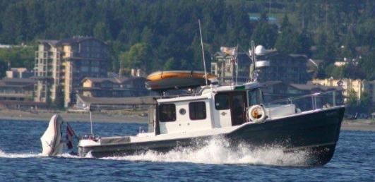 Ranger Tug R31 