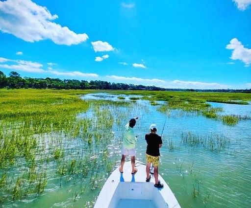 Andros Tarpon image