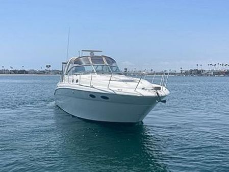 Sea Ray 38 Sundancer image