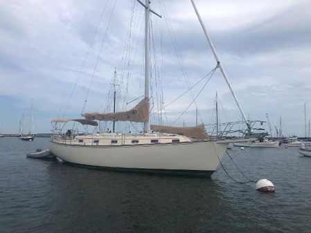 Island-packet 38 image