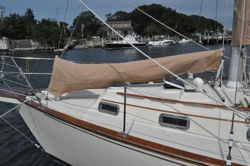 Island-packet 38 image
