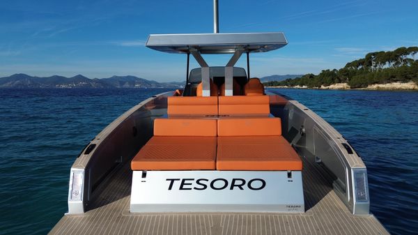 Tesoro T40 image