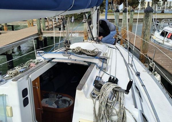 Beneteau First 310 image