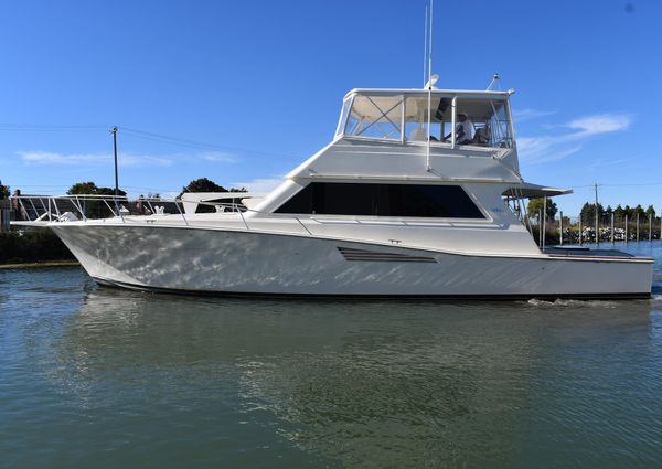 Viking 53-CONVERTIBLE image