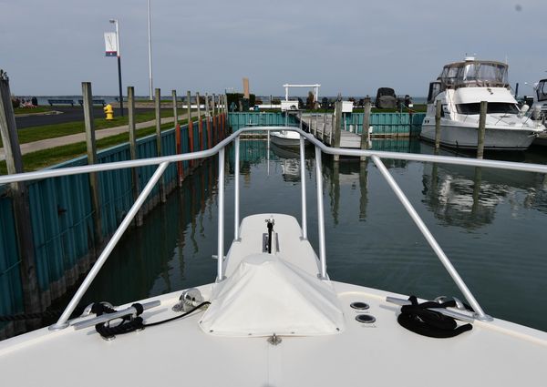 Viking 53-CONVERTIBLE image