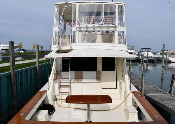 Viking 53-CONVERTIBLE image