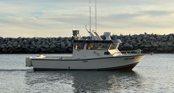 Farallon 28 image