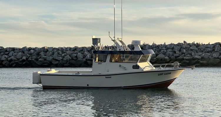 Farallon 28 - main image