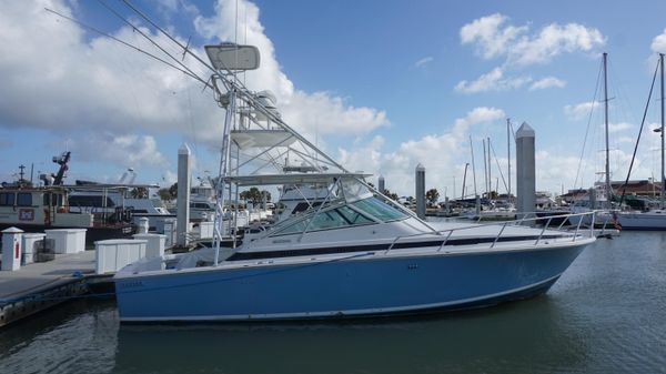 Bertram 36 Moppie
