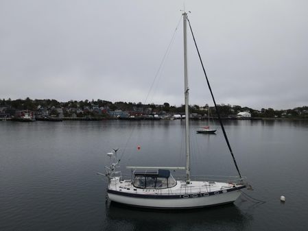 Morgan Catalina 41 image