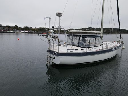 Morgan Catalina 41 image