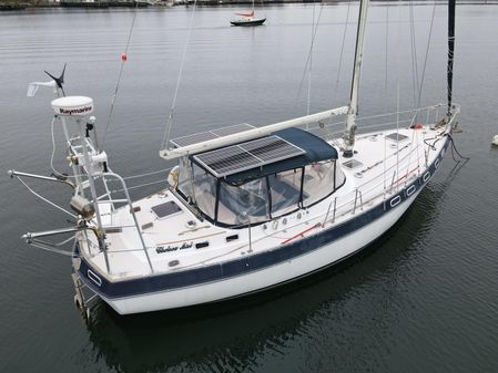 Morgan Catalina 41 image