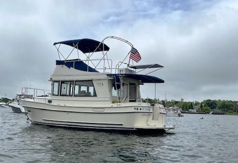 Camano 31 image
