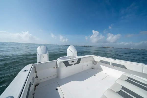 Invincible 33 Catamaran image