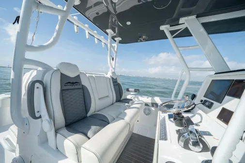 Invincible 33 Catamaran image
