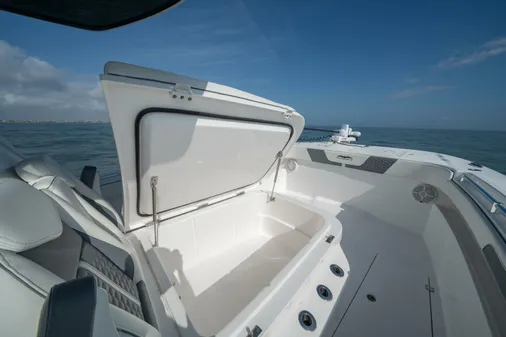 Invincible 33 Catamaran image