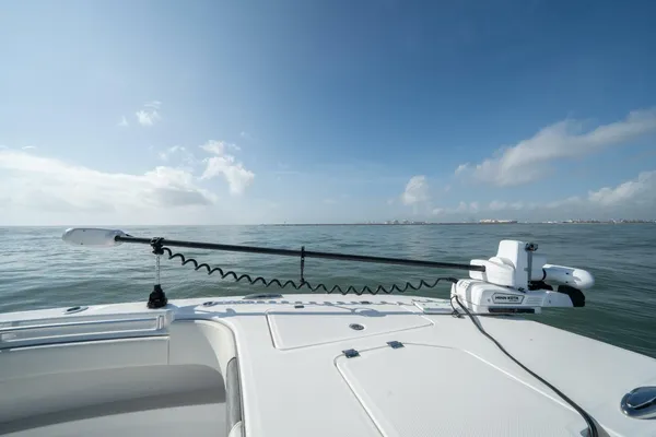 Invincible 33 Catamaran image