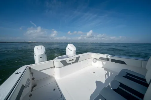 Invincible 33 Catamaran image