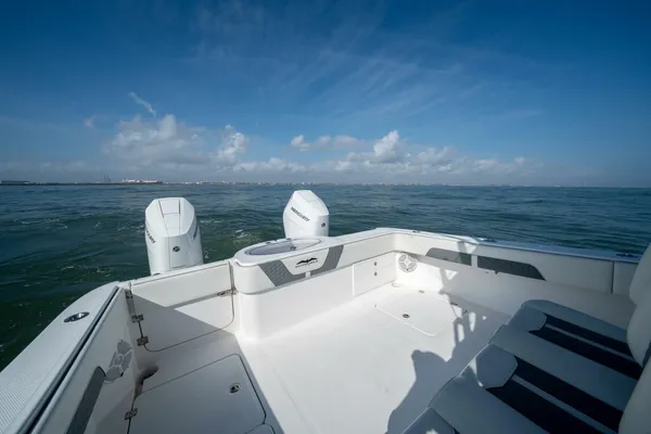 Invincible 33 Catamaran image