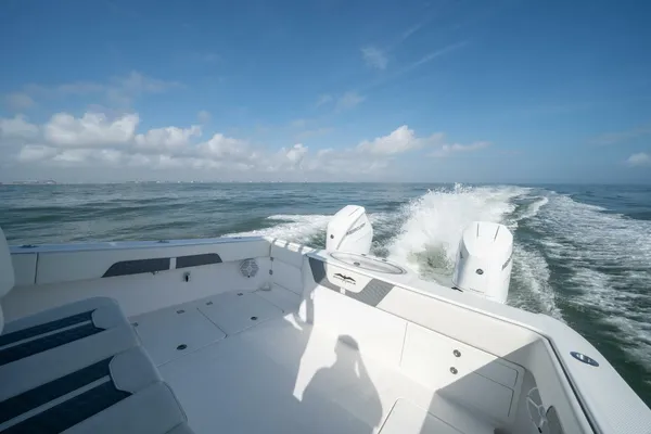 Invincible 33 Catamaran image