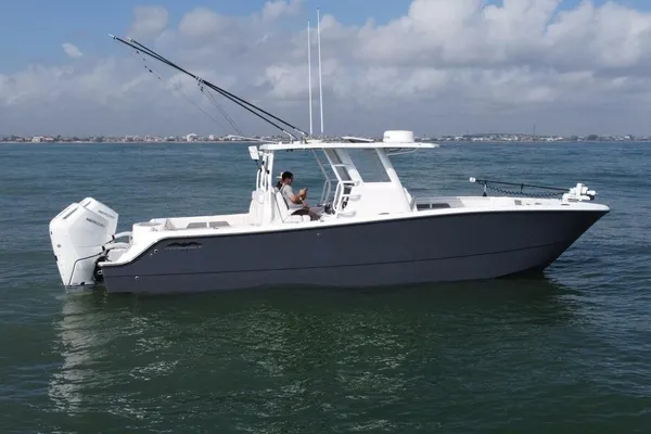 Invincible 33 Catamaran image