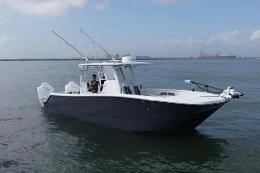 Invincible 33 Catamaran image