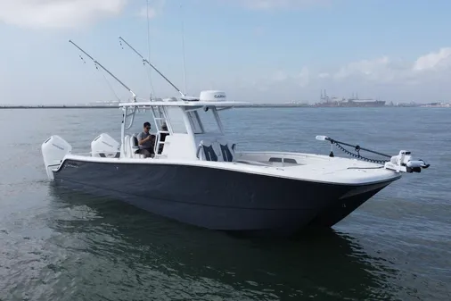 Invincible 33 Catamaran image