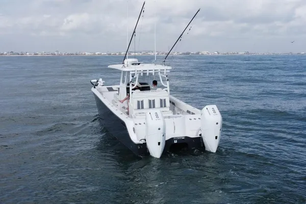 Invincible 33 Catamaran image