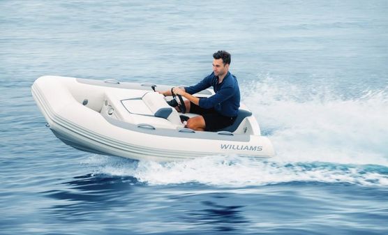 Williams Jet Tenders Minijet 280 image