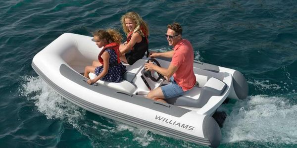 Williams Jet Tenders Minijet 280 image